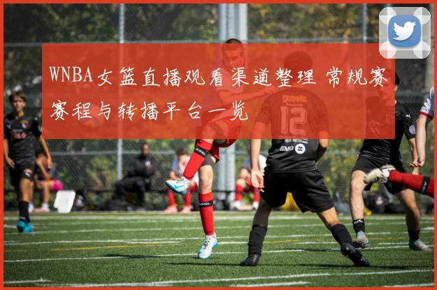 WNBA女篮直播观看渠道整理 常规赛赛程与转播平台一览