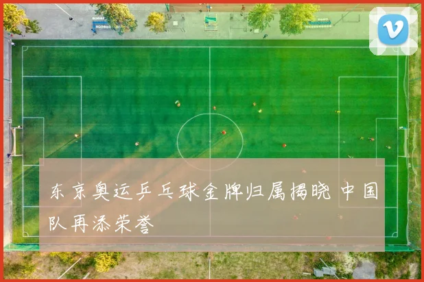 东京奥运乒乓球金牌归属揭晓 中国队再添荣誉