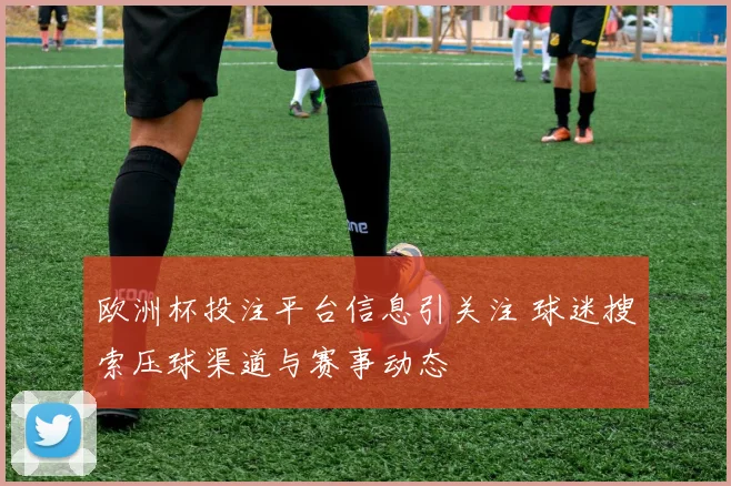 欧洲杯投注平台信息引关注 球迷搜索压球渠道与赛事动态