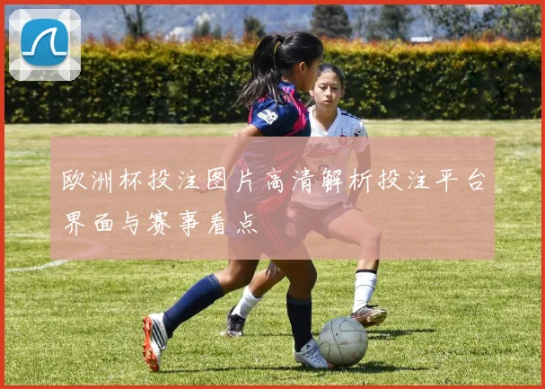 欧洲杯投注图片高清解析投注平台界面与赛事看点