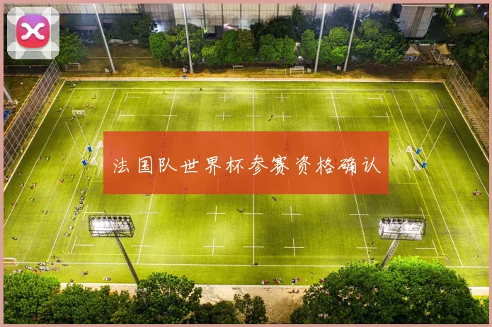 法国队世界杯参赛资格确认