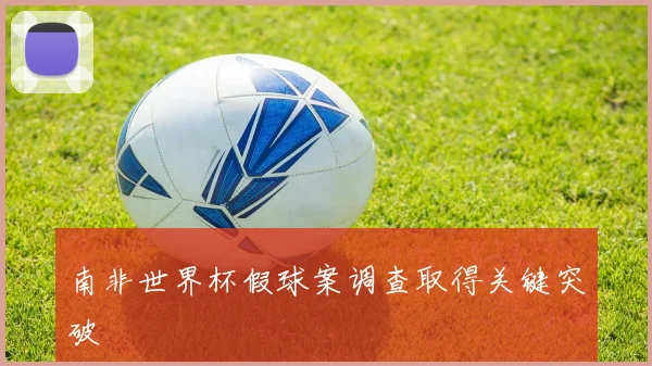 南非世界杯假球案调查取得关键突破