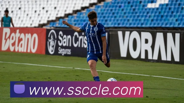 世界杯app官网平台生态图